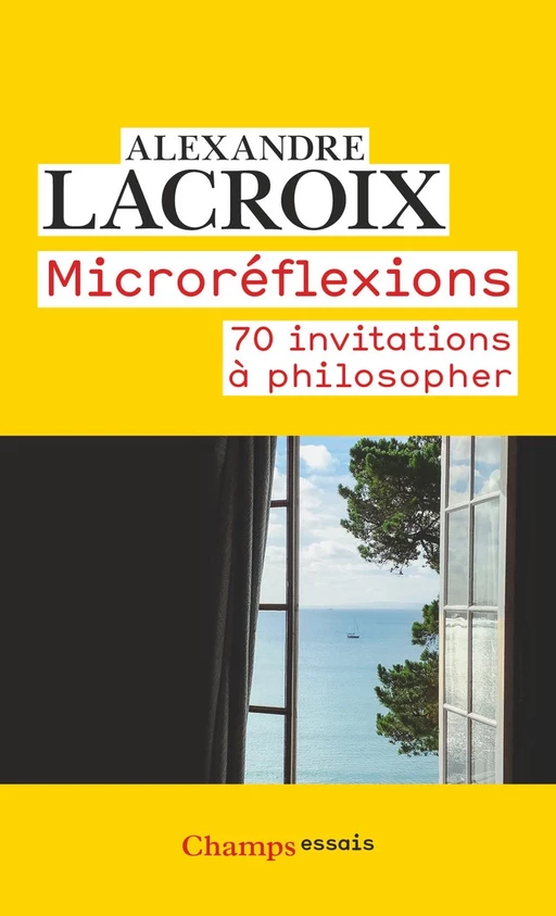 Microréflexions. 70 invitations à philosopher - Alexandre Lacroix - Flammarion