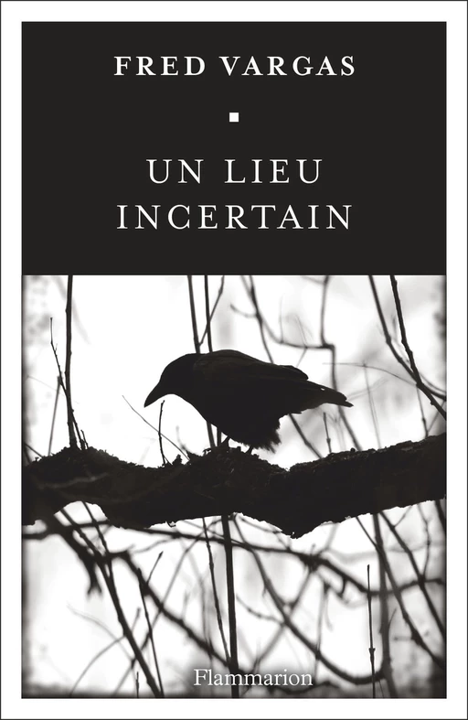 Un lieu incertain - Fred Vargas - Flammarion