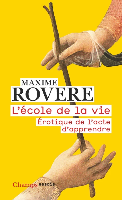 L'école de la vie - Maxime Rovere - Flammarion