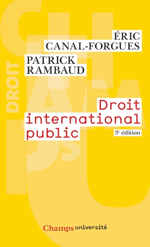 Droit international public - Eric Canal-Forgues, Patrick Rambaud - Flammarion