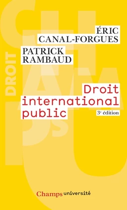 Droit international public