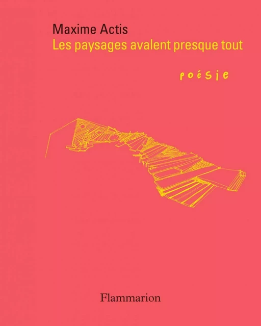 Les paysages avalent presque tout - Maxime Actis - Flammarion