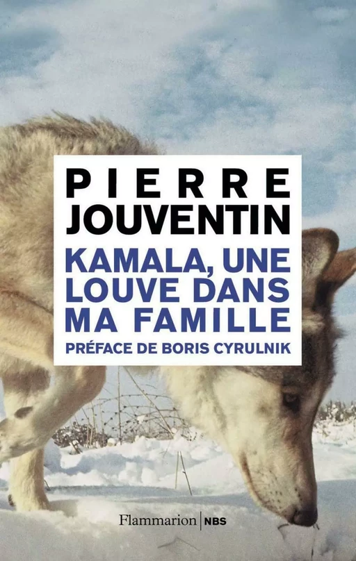 Kamala, une louve dans ma famille - Pierre Jouventin - Flammarion