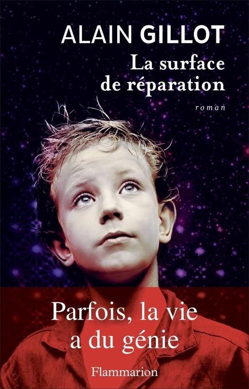 La surface de réparation - Alain Gillot - Flammarion