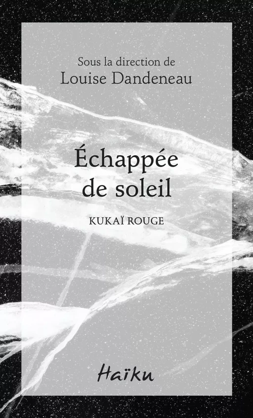 Échappée de soleil - Louise Dandeneau - Éditions David