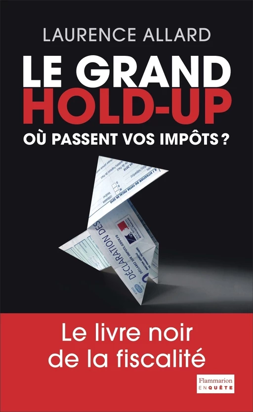 Le Grand Hold-Up - Laurence Allard - Flammarion