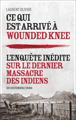 Ce qui est arrivé à Wounded Knee. L'enquête inédite sur le dernier massacre des indiens