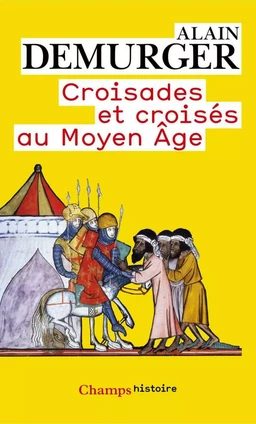 Croisades et croisés au Moyen Âge