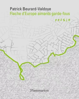 Cycle des exils (VII) - Flache d’Europe aimants garde-fous