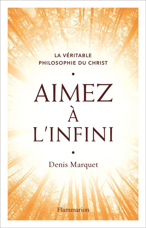 Aimez à l'infini - Denis Marquet - Flammarion