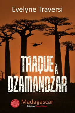 Traque à Dzamandzar