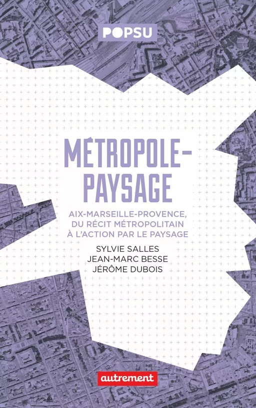 Métropole-paysage - Jean-Marc Besse, Jérôme Dubois, Sylvie Salles,  Collectif - Autrement