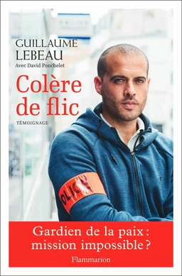 Colère de flic