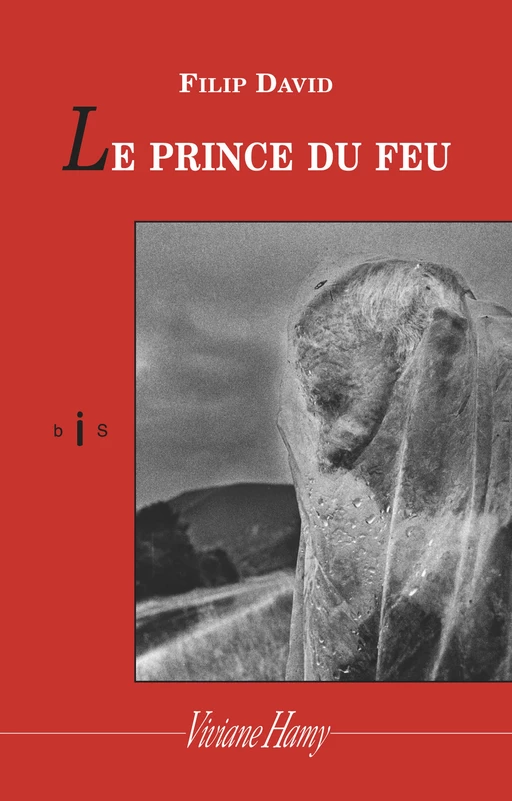 Les Prince du feu - Filip David - Viviane Hamy