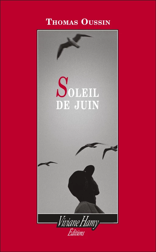 Soleil de Juin - Thomas Oussin - Viviane Hamy