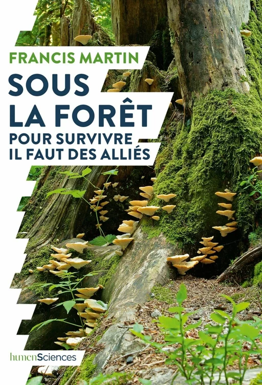 Sous la forêt - Francis Martin - Humensis