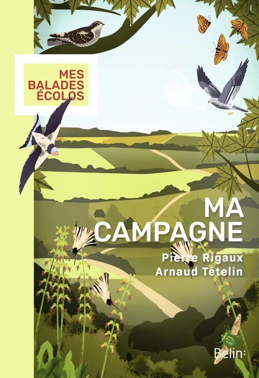 Ma campagne - Pierre Rigaux, Arnaud Tételin, Mathieu Duméry - Humensis