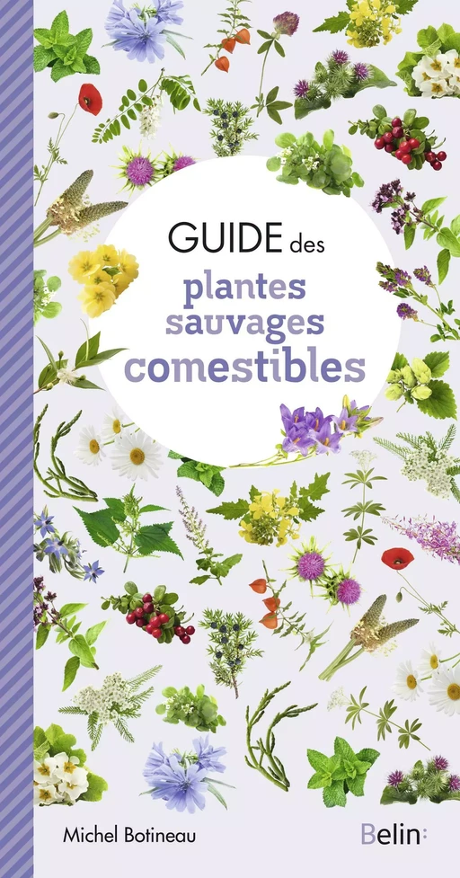 Guide des plantes sauvages comestibles - Michel BOTINEAU - Humensis