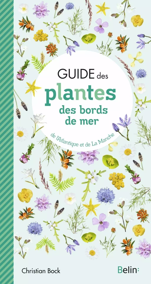 Guide des plantes des bords de mer - Christian Bock - Humensis