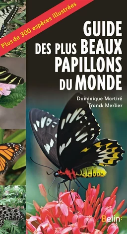 Guide des plus beaux papillons du monde