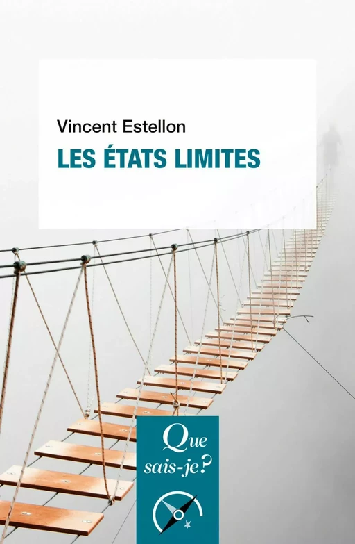 Les États limites - Vincent Estellon - Humensis