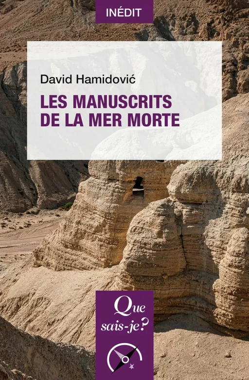 Les Manuscrits de la mer Morte - David Hamidovic - Humensis