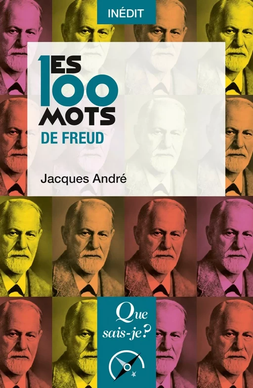 Les 100 mots de Freud - Jacques André - Humensis