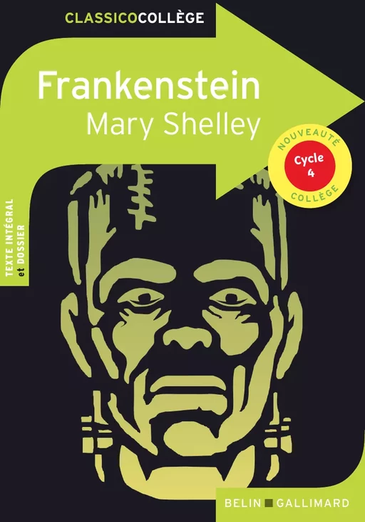 Frankenstein de Mary Shelley - Mary Shelley, Cédric Hannedouche, Hannah Betjeman - Humensis