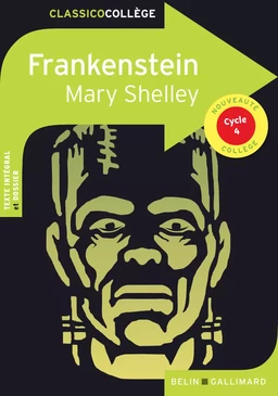 Frankenstein de Mary Shelley