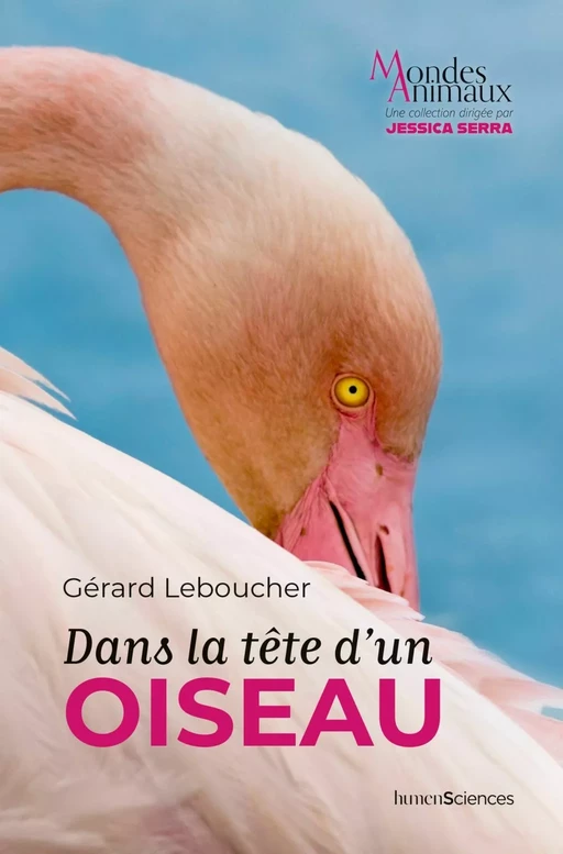 Dans la tête d'un oiseau - Jessica Serra, Gérard LEBOUCHER - Humensis