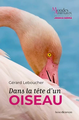 Dans la tête d'un oiseau