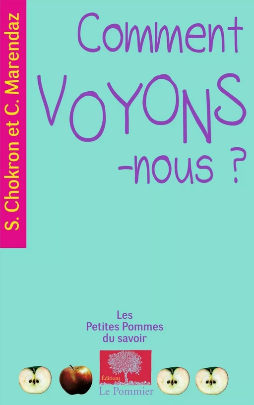 Comment voyons-nous ? - Sylvie Chokron, Christian Marendaz - Humensis