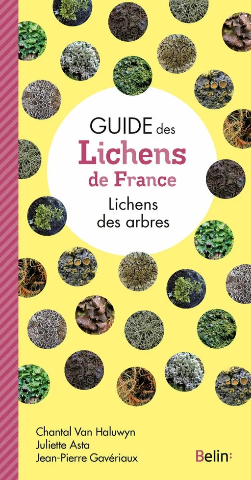 Guide des lichens de France - Juliette Asta, Guillaume Eyssartier, Jean-Pierre Gaveriaux - Humensis