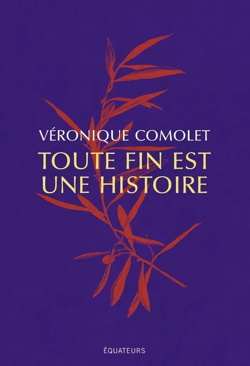 Toute fin est une histoire - Véronique Comolet - Éditions des Équateurs