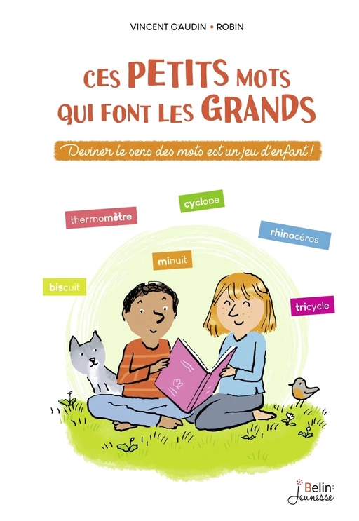 Ces petits mots qui font les grands - Vincent Gaudin,  Robin - Humensis