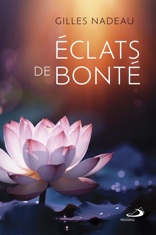 Éclats de bonté - Gilles Nadeau - Éditions Médiaspaul