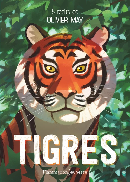 Tigres. Cinq récits d'aventure - Olivier May - Flammarion jeunesse