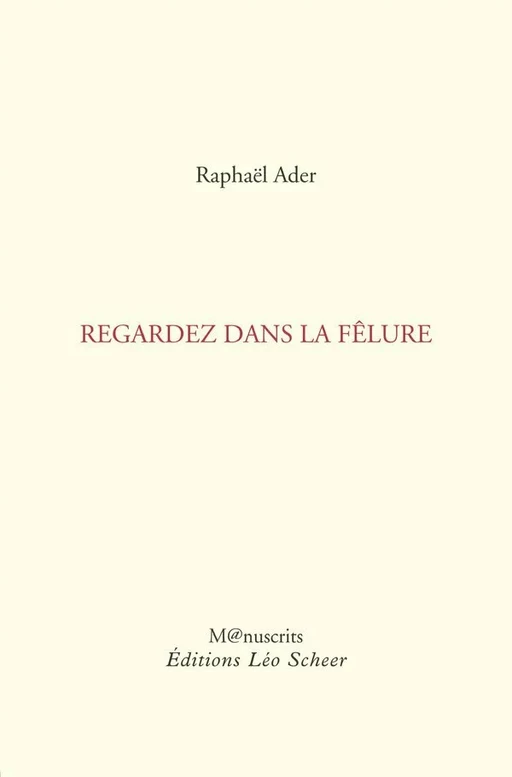 Regardez dans la fêlure - Raphaël Ader - Editions Léo Scheer