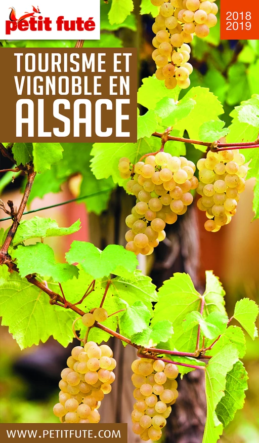 TOURISME ET VIGNOBLE EN ALSACE 2018/2019 Petit Futé - Dominique Auzias, Jean-Paul Labourdette - Petit Futé