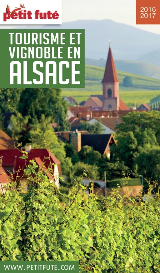 TOURISME ET VIGNOBLE EN ALSACE 2016/2017 Petit Futé - Dominique Auzias, Jean-Paul Labourdette - Petit Futé