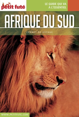 AFRIQUE DU SUD 2018 Carnet Petit Futé