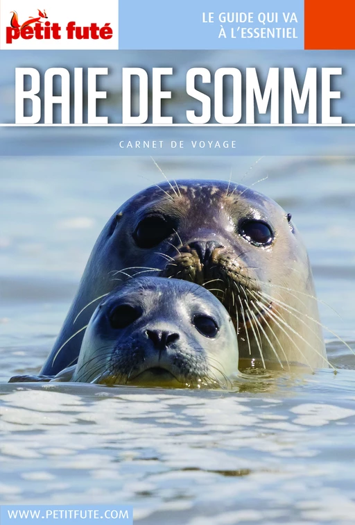 BAIE DE SOMME 2021/2022 Carnet Petit Futé - Dominique Auzias, Jean-Paul Labourdette - Petit Futé