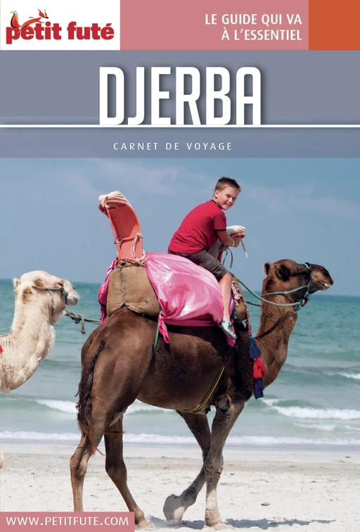 DJERBA 2016 Carnet Petit Futé - Dominique Auzias, Jean-Paul Labourdette - Petit Futé