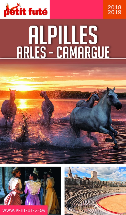 ALPILLES - CAMARGUE - ARLES 2018/2019 Petit Futé - Dominique Auzias, Jean-Paul Labourdette - Petit Futé