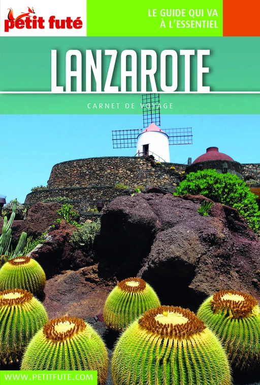 LANZAROTE 2018/2019 Carnet Petit Futé - Dominique Auzias, Jean-Paul Labourdette - Petit Futé