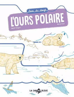 Suis du doigt l'ours polaire