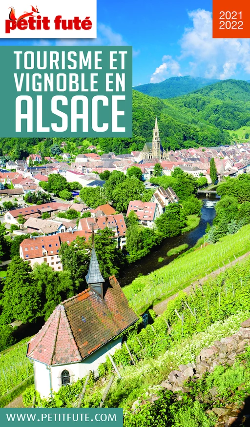 TOURISME ET VIGNOBLE EN ALSACE 2020 Petit Futé - Dominique Auzias, Jean-Paul Labourdette - Petit Futé