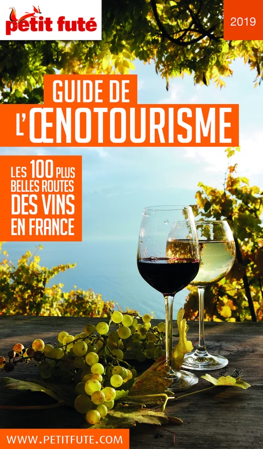 GUIDE DE L'ŒNOTOURISME 2019 Petit Futé - Dominique Auzias, Jean-Paul Labourdette - Petit Futé