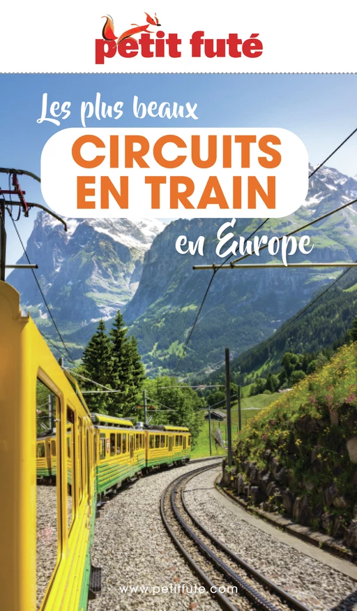 LES PLUS BEAUX CIRCUITS EN TRAIN EN EUROPE 2023 Petit Futé - Dominique Auzias, Jean-Paul Labourdette - Petit Futé