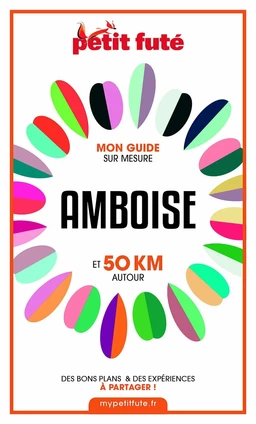 AMBOISE ET 50 KM AUTOUR 2021 Carnet Petit Futé